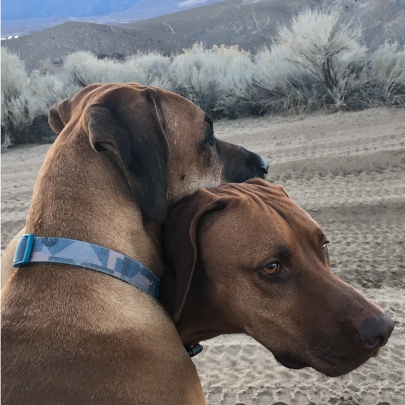 Accessories - UNLISTED ITEMS